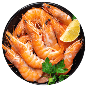 Shrimp Food Prawns